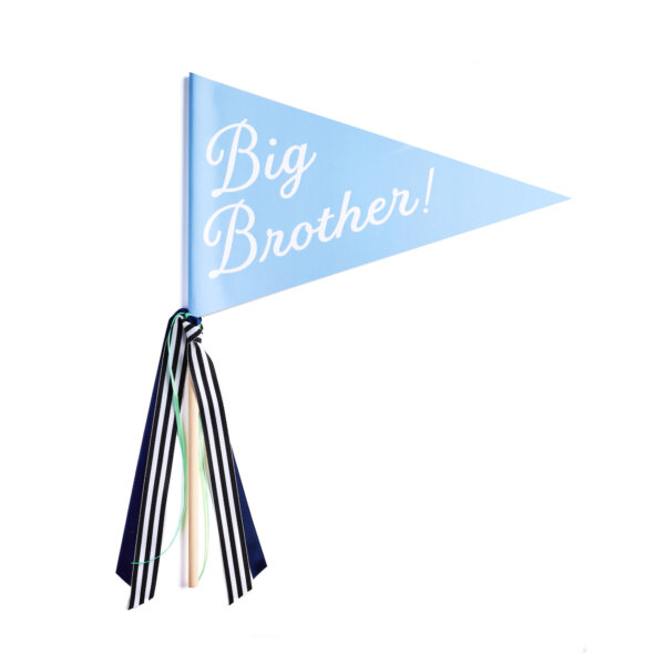 big brother banner