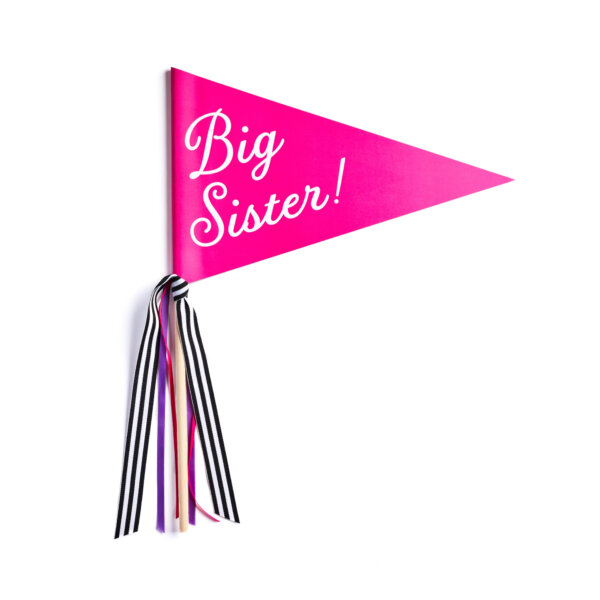 big sister banner